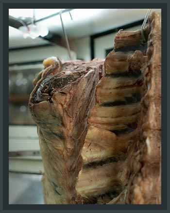 abgehängtes Fleisch